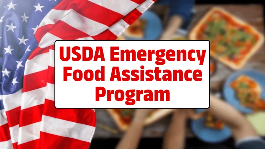 USDA Emergency Food Assistance Program