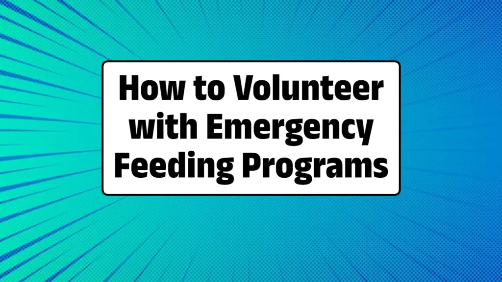 How to Volunteer with Emergency Feeding Programs